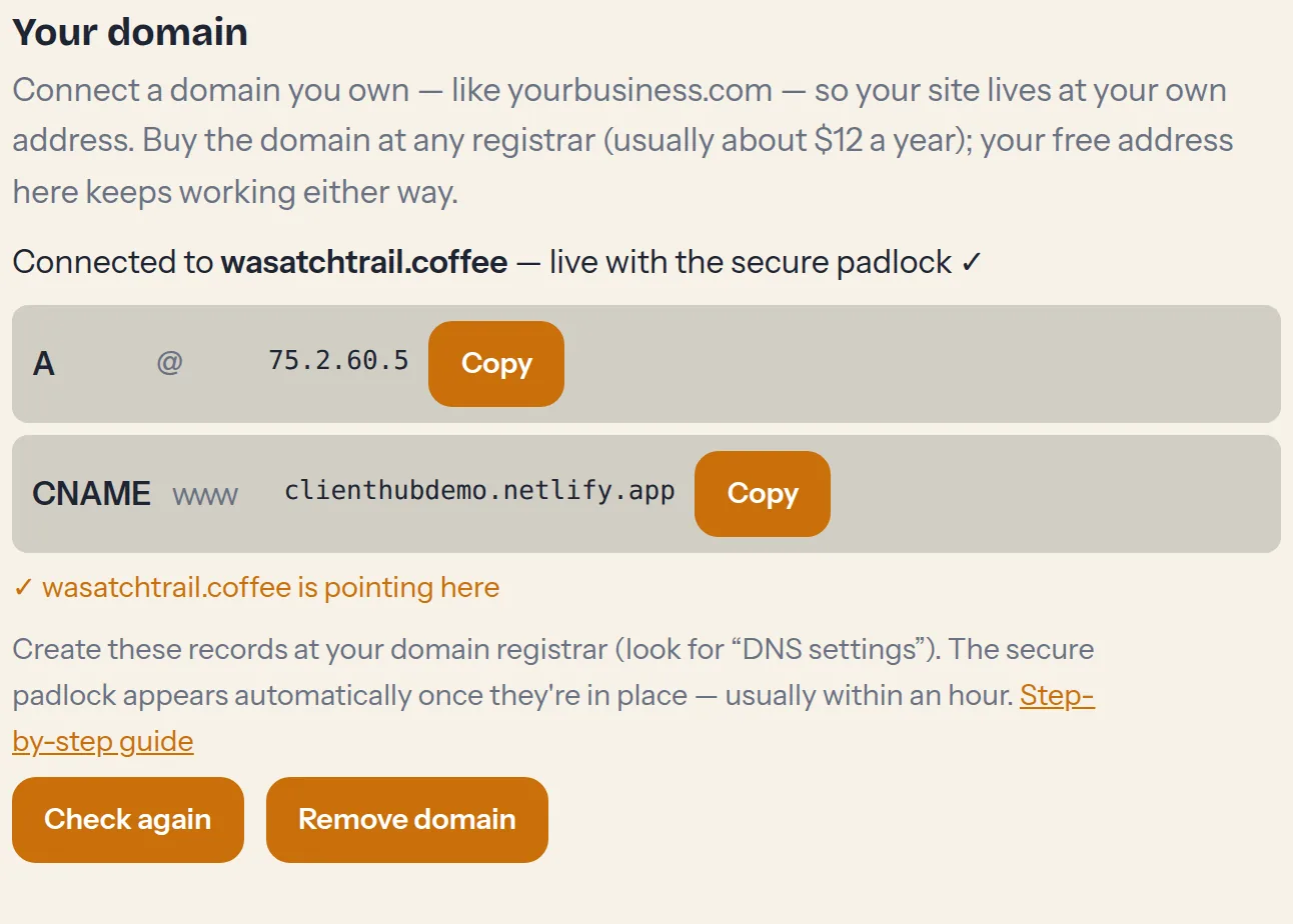 The Your domain card in Settings — records to copy and live status